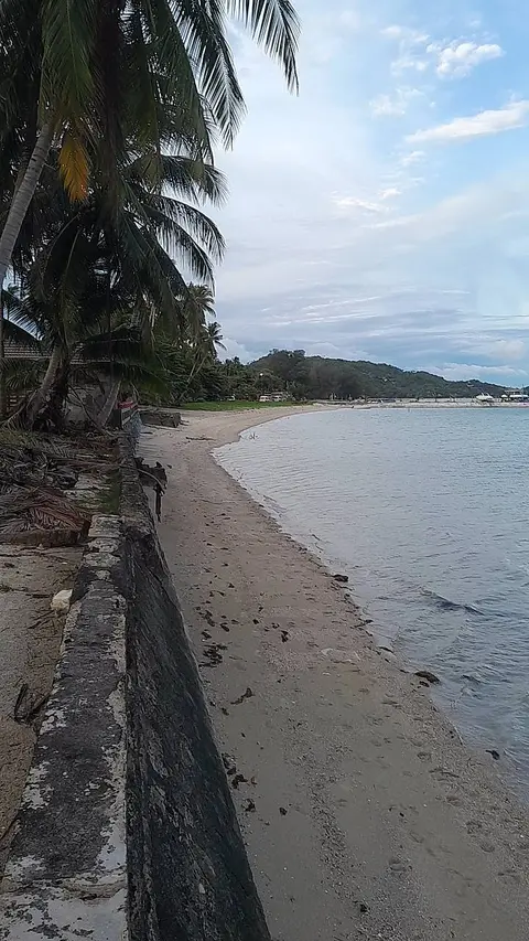 One-Rai Beachfront Land with Sea Wall, Bang Kao